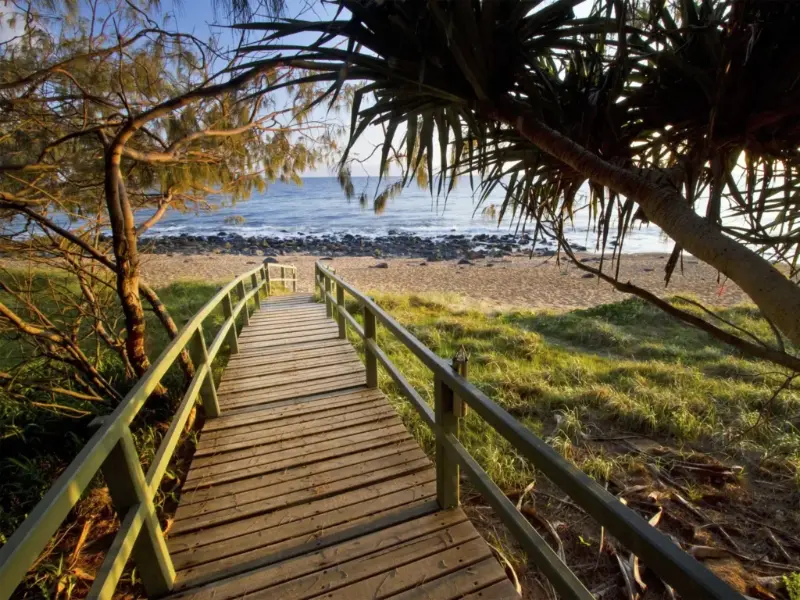 Timber boardwalk through pandanus palms down to the rocky beach at Mon Repos near Bundaberg